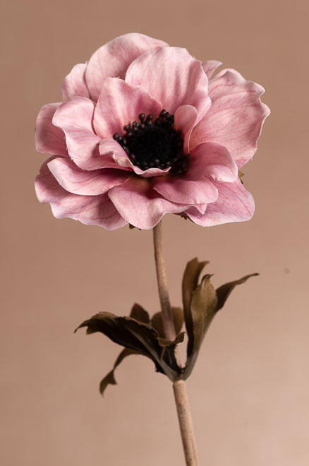 F310-P DRY SINGLE ANEMONE umělá květina růžová 35 cm od Paramit